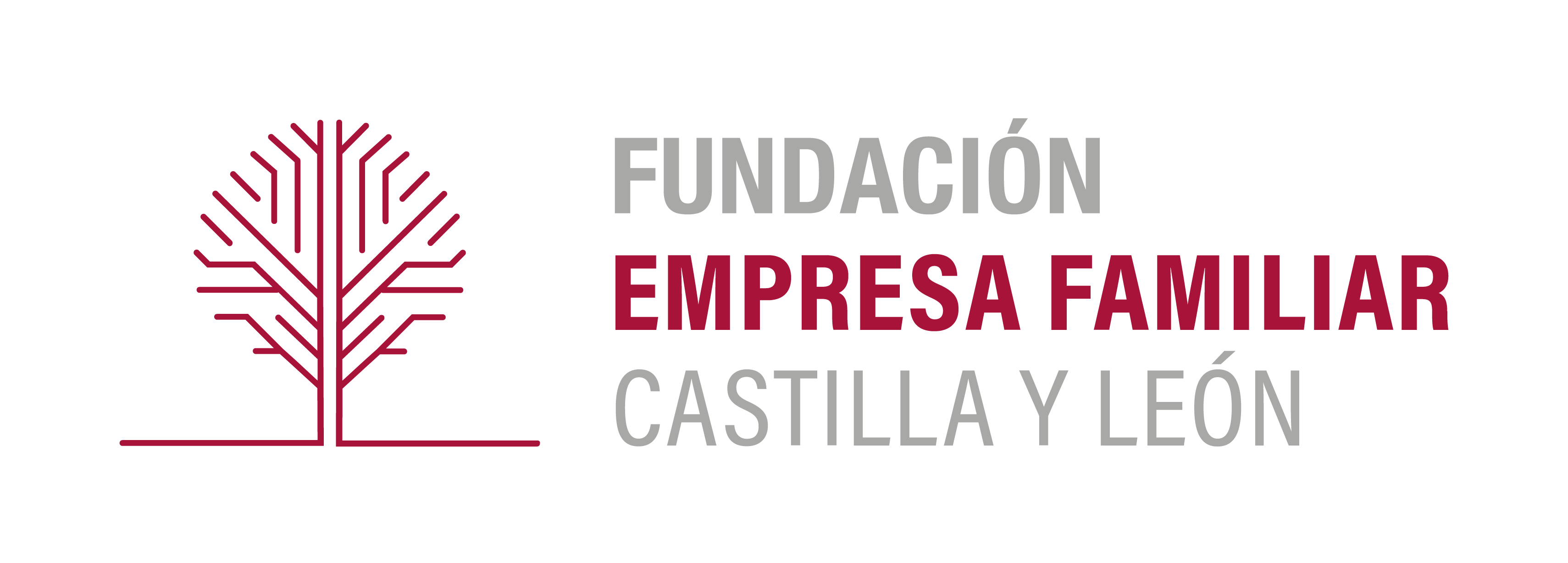 Fundación Empresa Familiar CyL